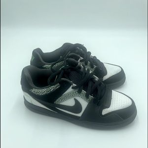 Nike “Skateboarding Style” Tennis Shoes